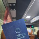 게스트하우스아카펠라 | 강릉 뚜벅이 1인 숙소 '게스트하우스 아카펠라'