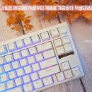옥축산 | 순백색 화이트 조약돌 키보드, 에포메이커 G84 국내 정식 출시