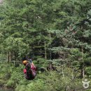 휴양림로 이미지