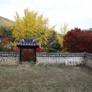 사의당 이미지