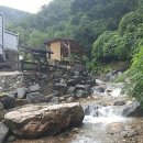 화이트밸리 이미지