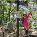 대전둘레산길(9구간) 이미지