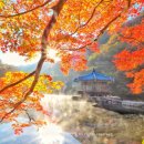 내장산국립공원화장실(제1주차장) 이미지