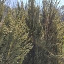 신동농장 이미지