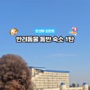 또또의펫이야기