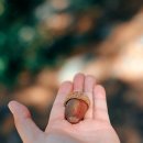 평창도토리칼국수 이미지