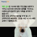 올어바웃펫 이미지