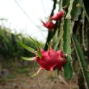 여의주농장 이미지