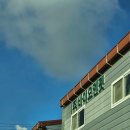 바이오엔펫 이미지