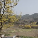 천사들주유소 이미지