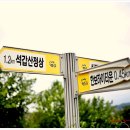 진주코사마트