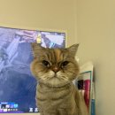 CU삼천포점 | 삼천포 시골쥐 서울에서 신나게 놀다[1]