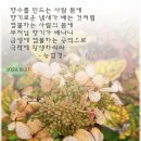 능엄경 (퍼온 글 페이스북, 자재심) 이미지