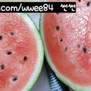 바이올가 김천혁신도시점 이미지