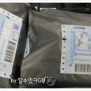 청개구리마미