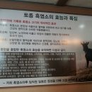 흑염소마루 이미지