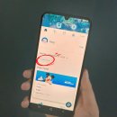 주식회사 댕아일랜드 | 일본 도쿄 디즈니랜드 티켓 가격 및 놀이기구 퍼레이드 명당 정리