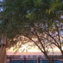 바다로글램핑 이미지