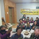 반려식물키우기 이미지