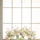 라온제나 이미지