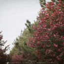 화흥농장 이미지