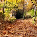 번영로길 이미지