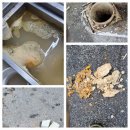 오포1동-3 이미지