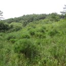 남면농장 이미지