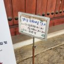 홍화문작은도서관 | 서울 5대궁 경희궁 공원 벚꽃 및 봄꽃 개화상황과 주차장 정보