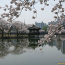 광신고등학교 이미지