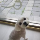 개도만족 이미지