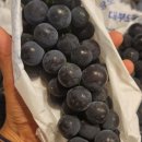 상주모동우체국 이미지