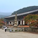 성동초교 이미지