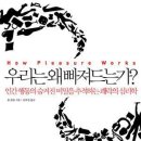 우리는 왜 빠져드는가 - 인간 행동의 숨겨진 비밀을 추적하는 쾌락의 심리학, 쾌락의 이면에 숨은 비밀 이미지