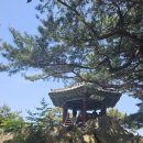 부소산 관광안내소 | 근교 나들이 부여 가볼만한곳 유네스코세계지정 부소산성 황포돛배 나룻배 타기 부여 조각 공원 방문 후기