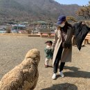 대동목장 이미지