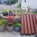 샬롬식당 이미지