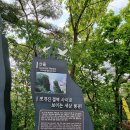 선돌농산물