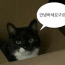 블룸프로젝트 - 중구 왕십리로 393-1 | 블룸프로젝트