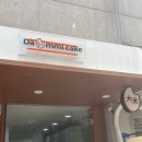 대미케이크(DAMMICAKE)