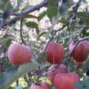 운학농장 이미지