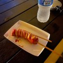 기영이 숯불두마리치킨 속초교동점 | 깜이랑 또 속초여행🐶 : 기영이숯불두마리치킨, 속초751샌드위치, 어느멋진날카페, 흰다정, 등대해수욕장