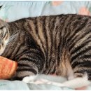 하루5분 핫한 중국어 0순위 생생중국어 이미지