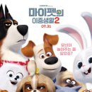 마이펫의 이중생활 이미지