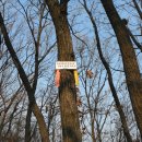 대동로2 이미지