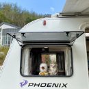 스테이위드독 이미지