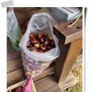 형제농장 이미지