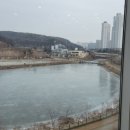 메종드 로이 이미지