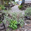 삼달신풍로 이미지