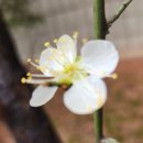 율암농장 이미지